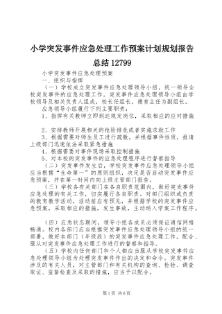 小学突发事件应急处理工作预案计划规划报告总结12799 