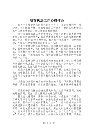 城管执法工作心得体会