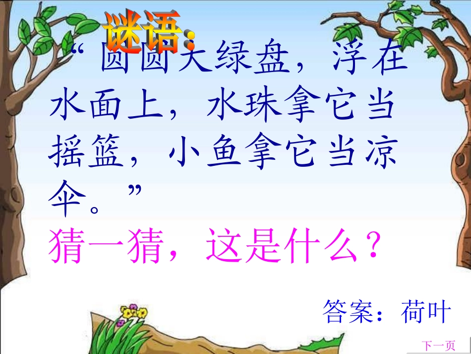 荷叶圆圆课件公开_第1页