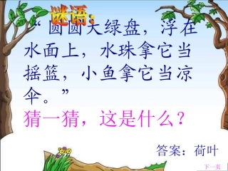 荷叶圆圆课件公开