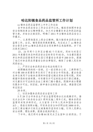 哈达阳镇食品药品监管所工作计划 