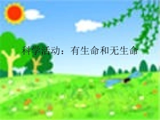 科学活动：有生命和无生命
