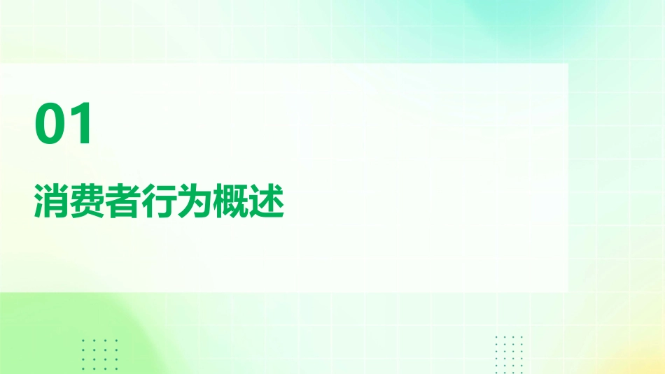 连锁经营前提认识消费者课件_第3页