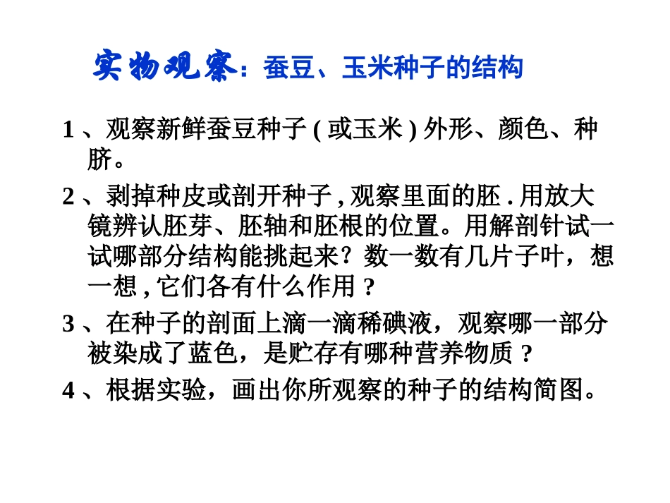 观察种子的形态结构_第3页