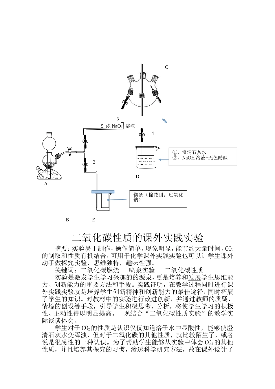 二氧化碳性质的课外实践实验_第1页