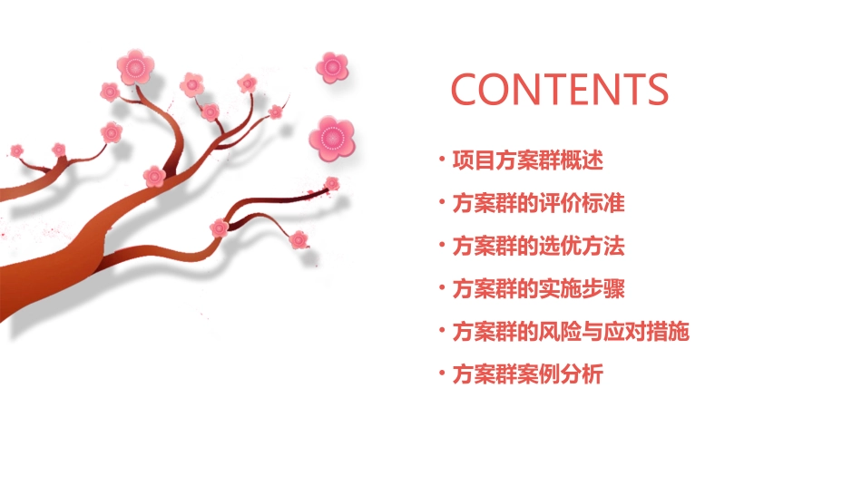 项目方案群的选优课件_第2页