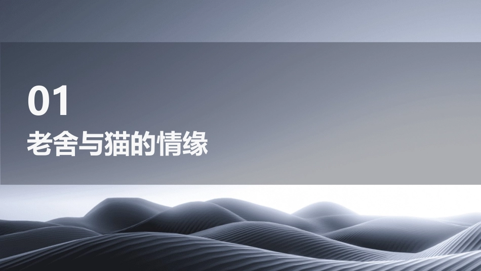 老舍猫公开课课件_第3页