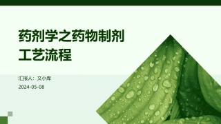 药剂学之药物制剂工艺流程