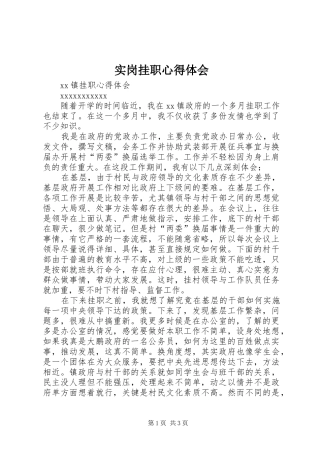 实岗挂职心得体会