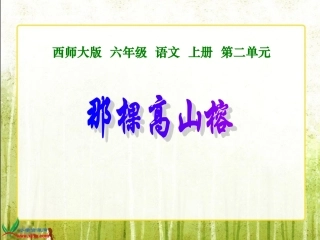 西师大版六年级语文那棵高山榕gdkj