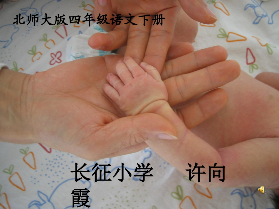 四年级语文下册手上的皮肤2课件北师大版_第1页