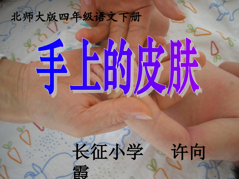 四年级语文下册手上的皮肤2课件北师大版_第3页