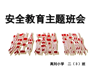 珍爱生命远离危险——安全教育主题班会(1)