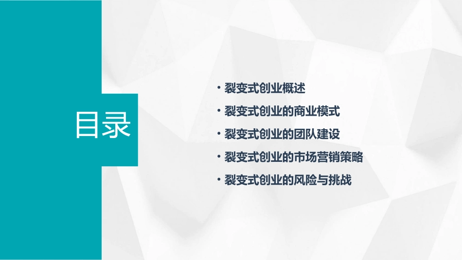 裂变式创业案例分析课件_第2页