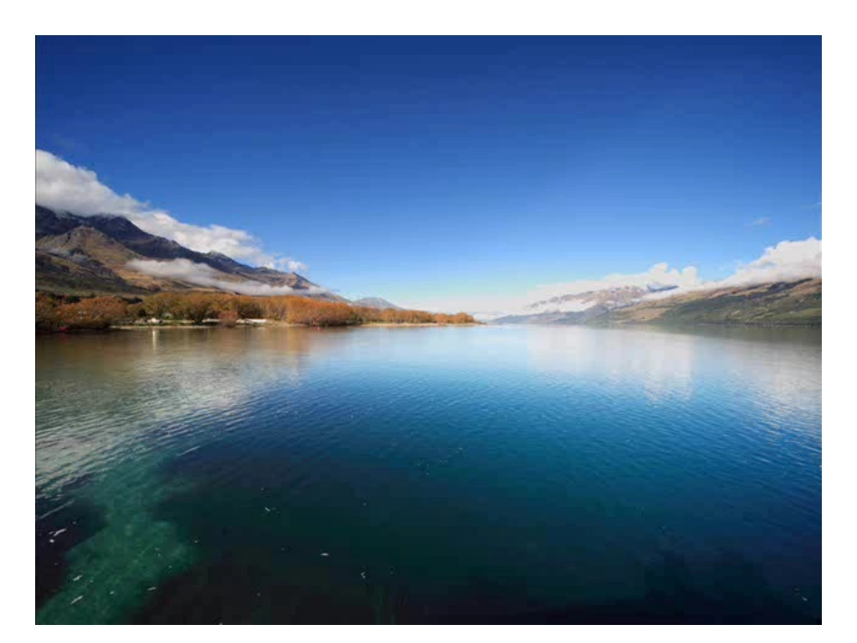 关爱大自然从我做起_第1页