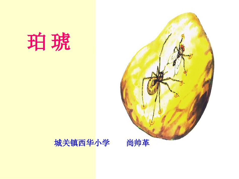 《琥珀》课件_第1页