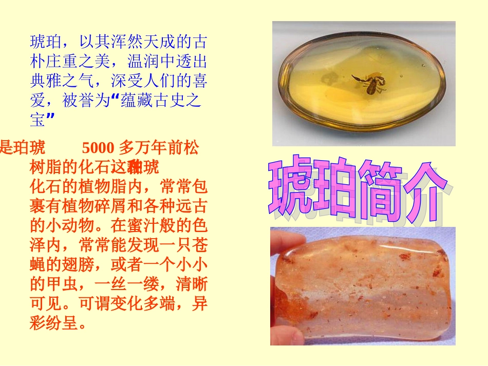 《琥珀》课件_第2页