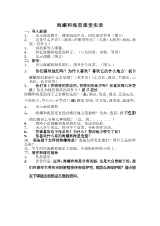 海螺和海星教案