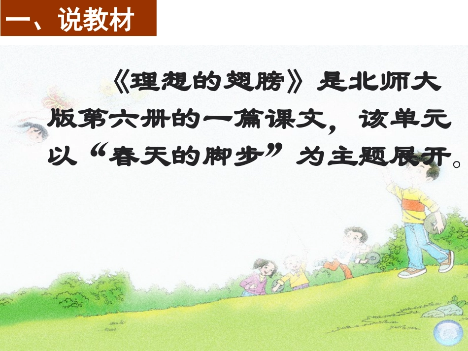 理想的翅膀说课_第3页