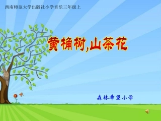 黄桷树，山茶花