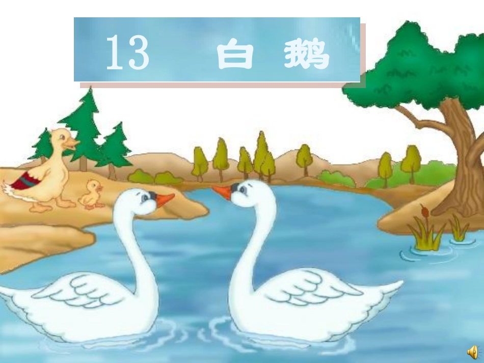 人教版四年级上册语文13《白鹅》_第3页