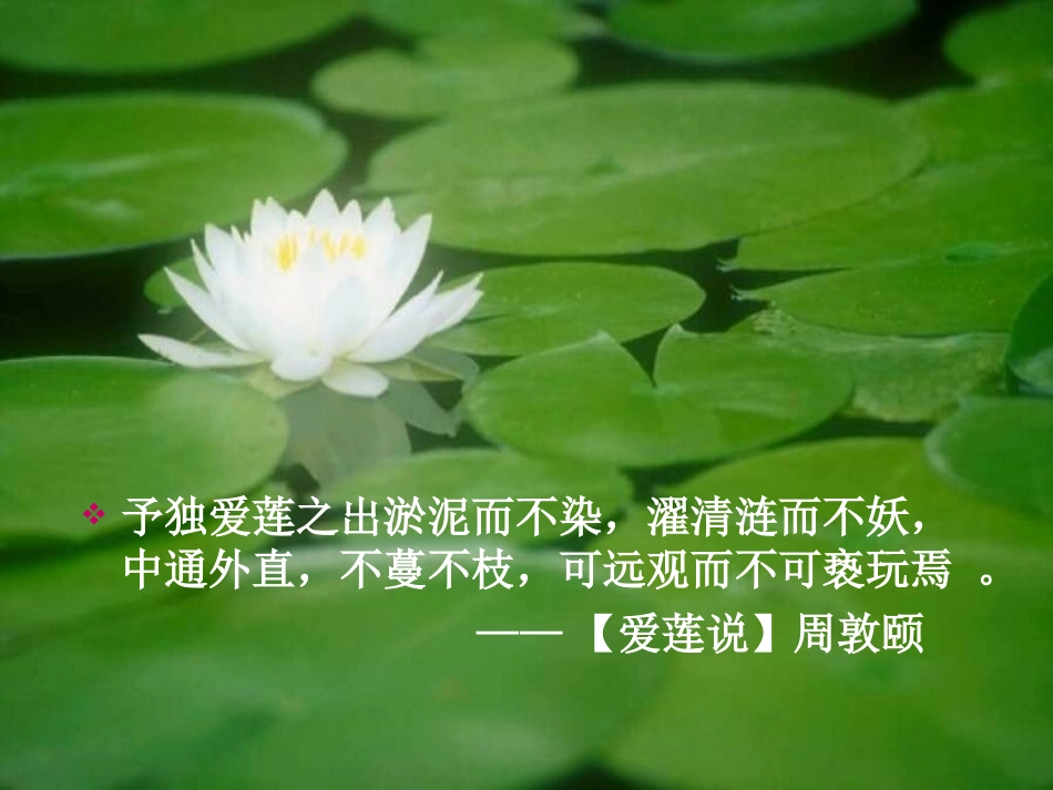 苏幕遮（公开课)_第2页