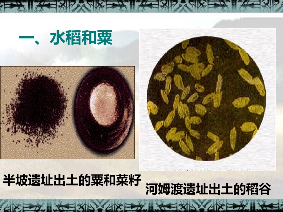 第2课原始的农耕生活 (2)_第3页