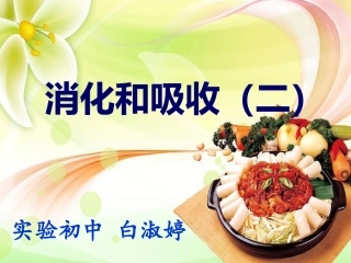 消化和吸收（二）