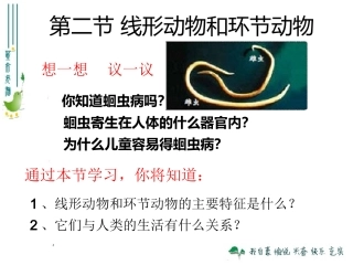 八年级上册生物第二节_线形动物和环节动物课件