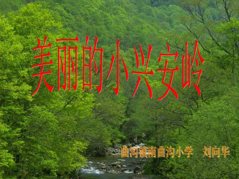 美丽小兴安岭刘_第1页