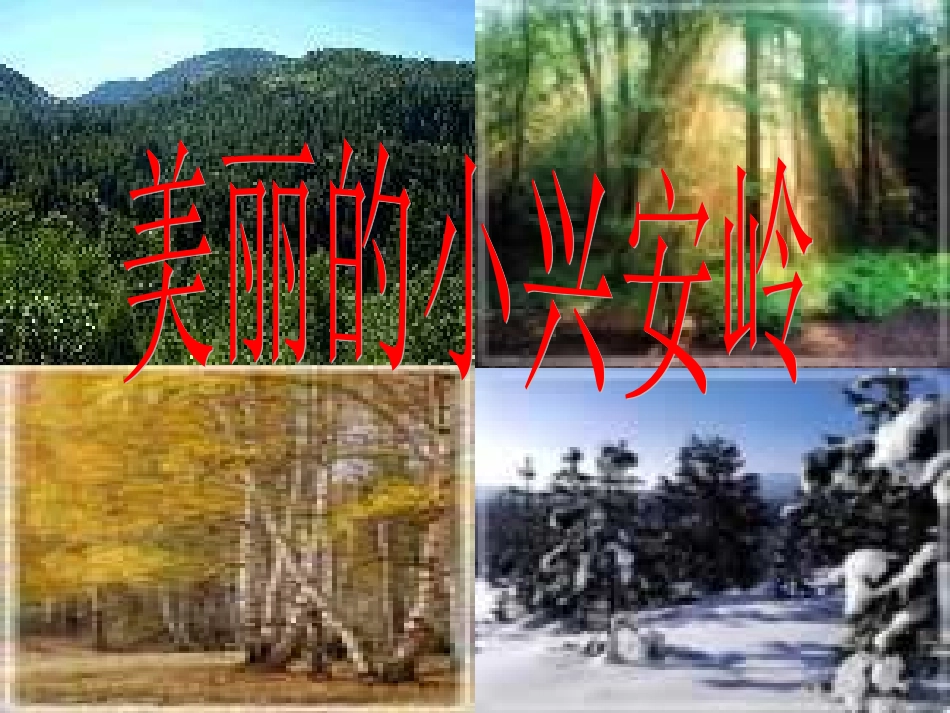 美丽小兴安岭刘_第3页