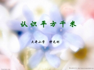 认识平方千米 (2)