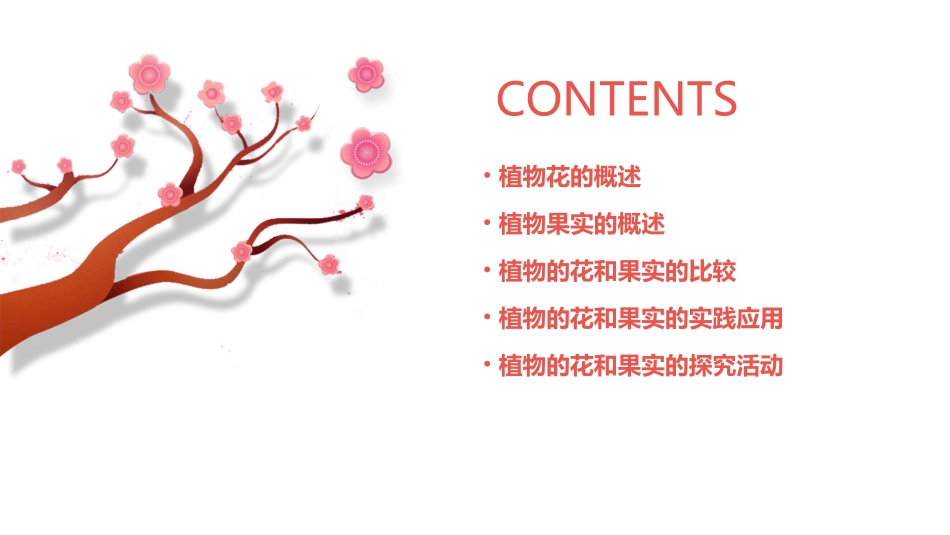 鲁教版科学四上植物的花和果实课件_第2页