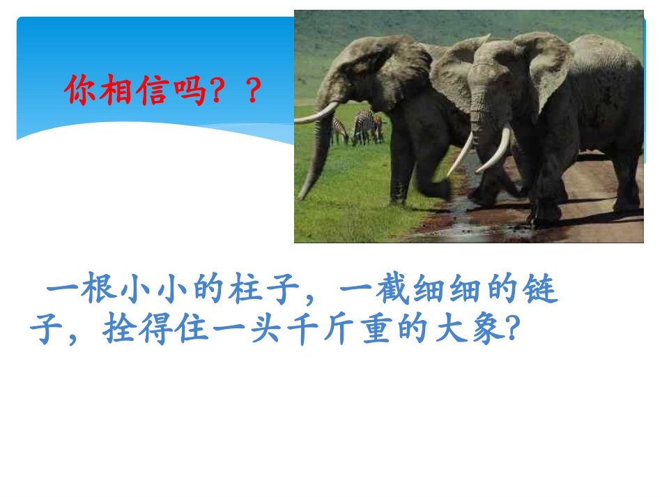 养成教育主题班会999_第2页