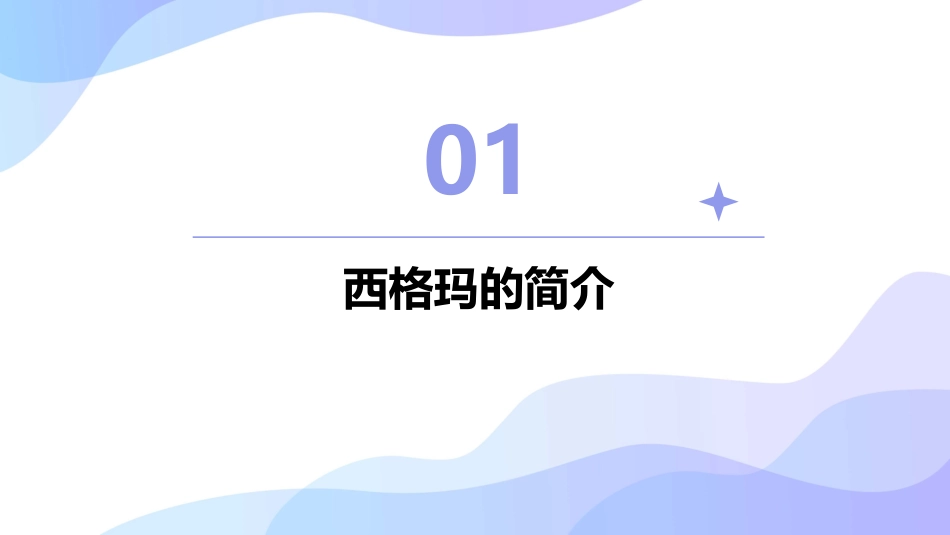 西格玛的主要原则课件_第3页