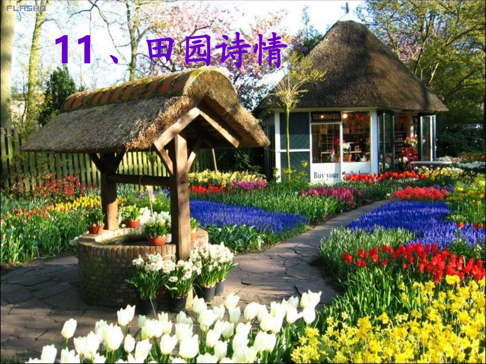 四年级上苏教版《田园诗情》课件_2_第1页