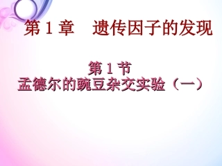 孟德尔的豌豆杂交实验