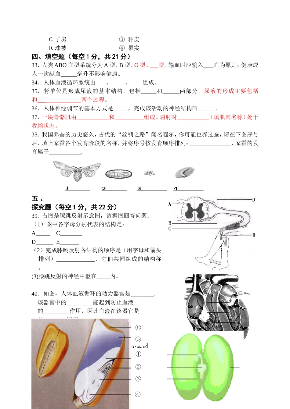 江科大附中2012—2013学年八年级第一学期生物期末试卷_第3页
