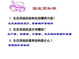 生物：52《生态系统的能量流动》课件（新人教版必修3）