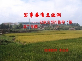 让文章有波澜：设悬念专题训练