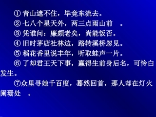 《水龙吟登建康赏心亭》课件3