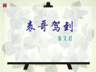 表哥驾到课件