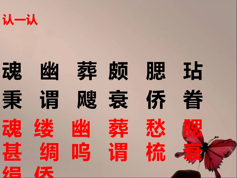 《梅花魂》课件_第2页