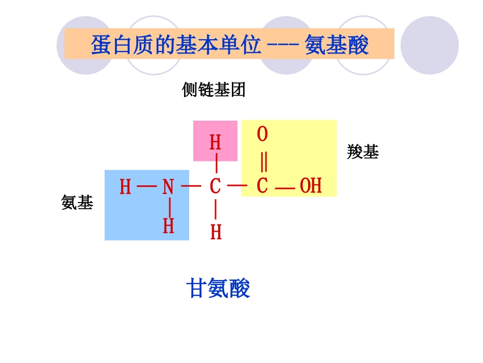 生物高中必修1第二章第二节课件6_第3页