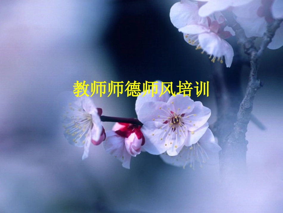 中小学教师师德培训_第1页