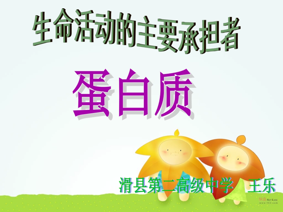 生命活动的主要承担者--蛋白质(王乐）_第3页