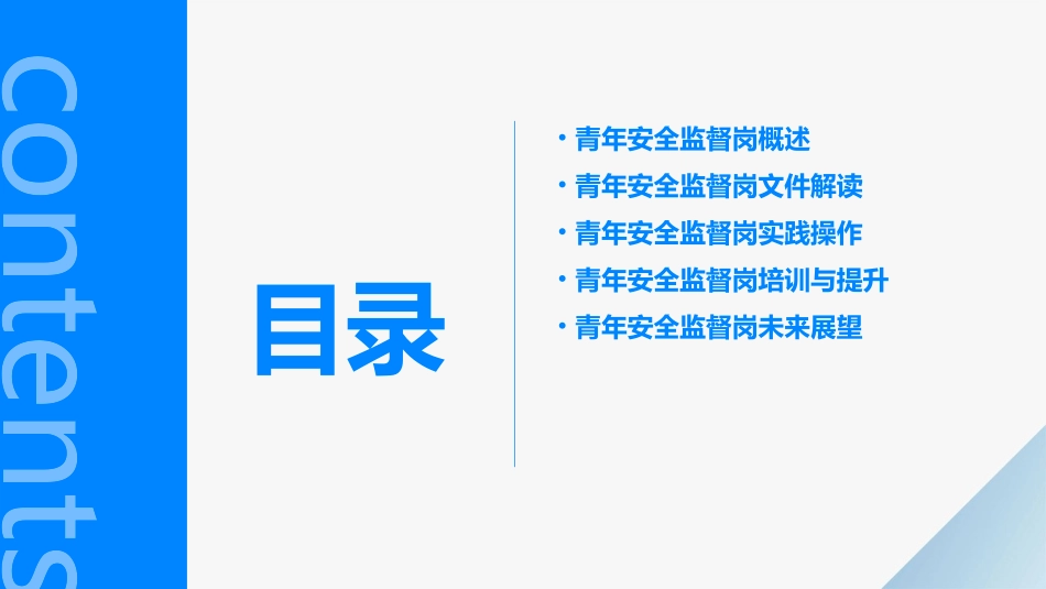 青年安全监督岗文件解读课件_第2页