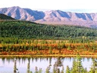 秋天的图画终稿课件