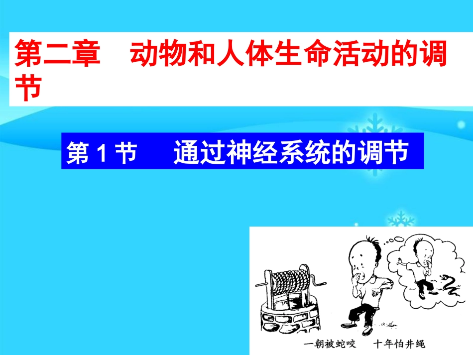 优课21通过神经系统的调节（必修三课件）_第1页