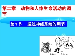 优课21通过神经系统的调节（必修三课件）